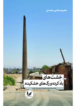 کتاب خشت های بادکرده و رگ های خشکیده کتاب خشت های بادکرده و رگ های خشکیده