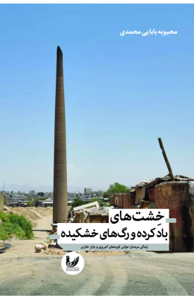 کتاب خشت های بادکرده و رگ های خشکیده محبوبه بابایی خرید کتاب خشت های بادکرده و رگ های خشکیده. محبوبه بابایی. انتشارات: اندیشه احسان.