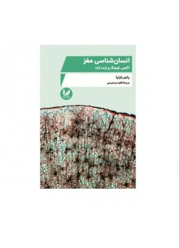 کتاب انسان شناسی مغز اثر فائزه جمشیدی نشر اندیشه احسان