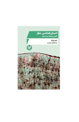  خرید کتاب انسان شناسی مغز اثر فائزه جمشیدی نشر اندیشه احسان. فائزه جمشیدی.  انتشارات:   اندیشه احسان.